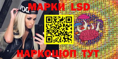 стафф Заволжье