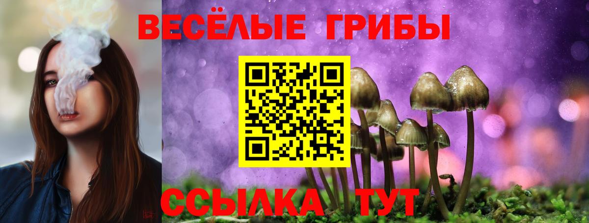 Псилоцибиновые грибы ЛСД  Галлюциногенные грибы GOLDEN TEACHER  Саяногорск  Вход с VPN 